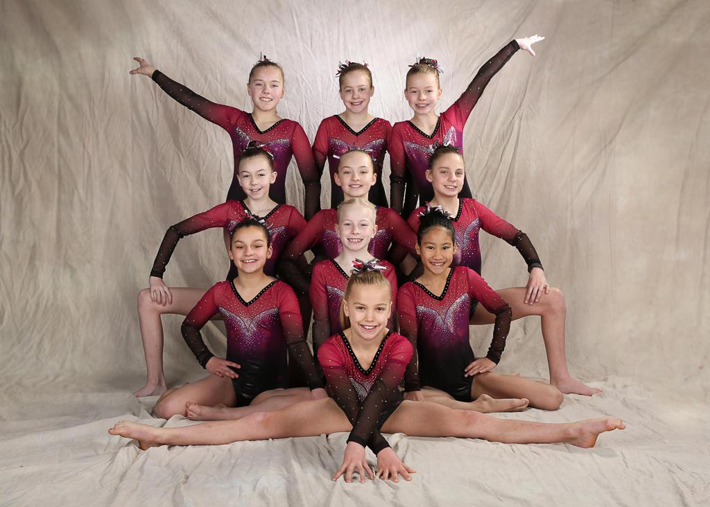 Club Dynamite Gymnastics - Meet our 2019 Senior Performance Team! These  fantastic gymnasts range from 11-21 years of age and from Level 5-9 in  gymnastics. All are experienced performers who bring a